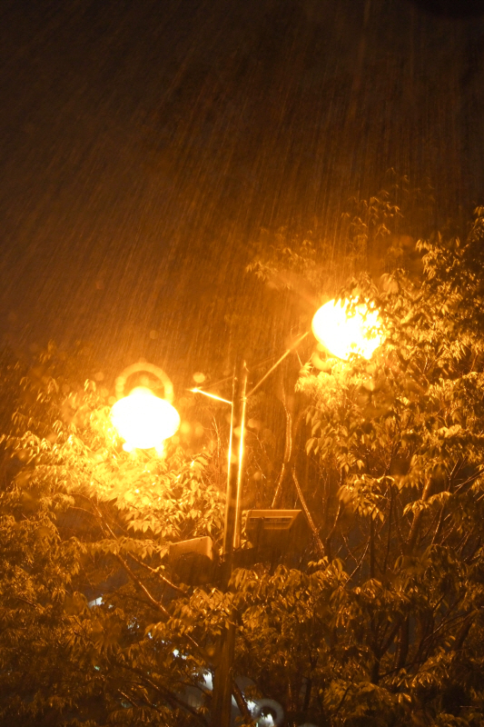 <폭우, 일산> Fuji FinePix S5pro + 55-200mm, ISO 800, F 5.7